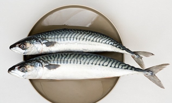 Đừng nghĩ sử dụng nhiều dầu cá là tốt cho sức khỏe